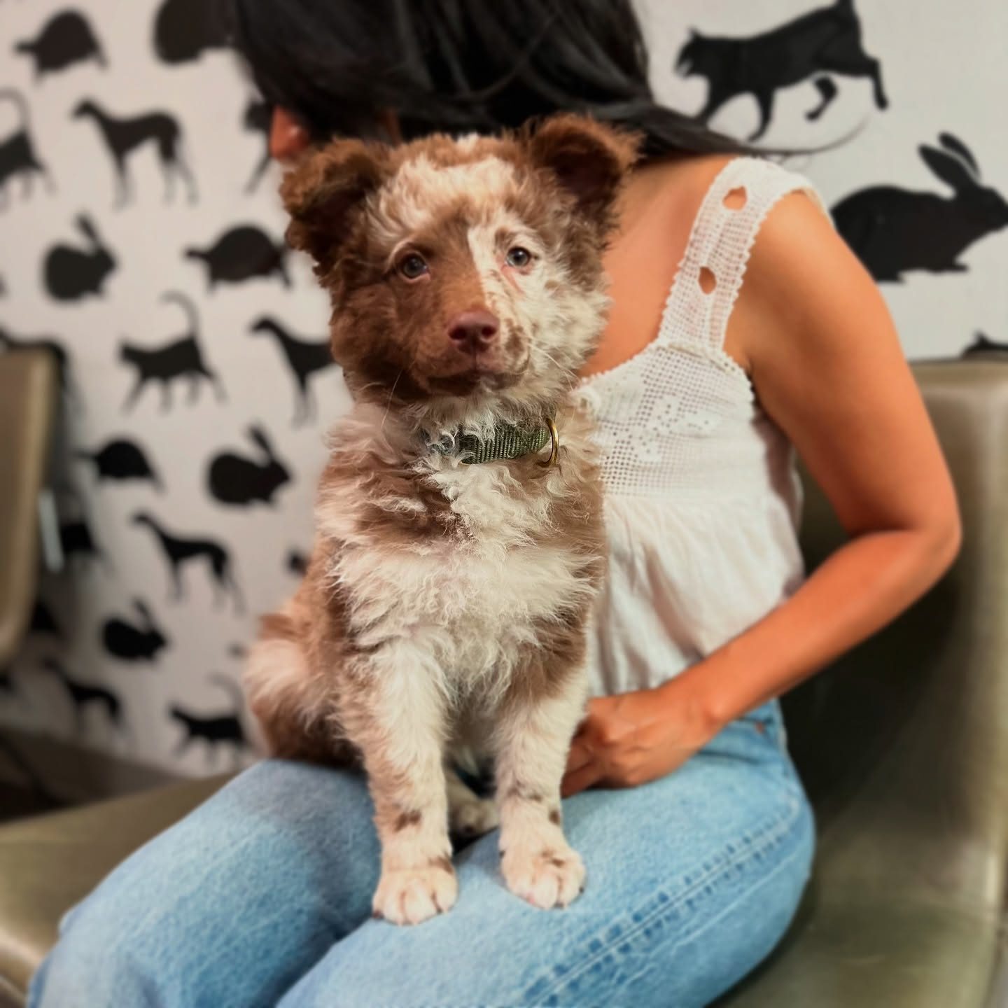 D1DD9755-BBDF-4803-8F9E-06070B58081F-circle-12f4083bd53464cf394b11f0483d28fc-xw4im5f9kh0l