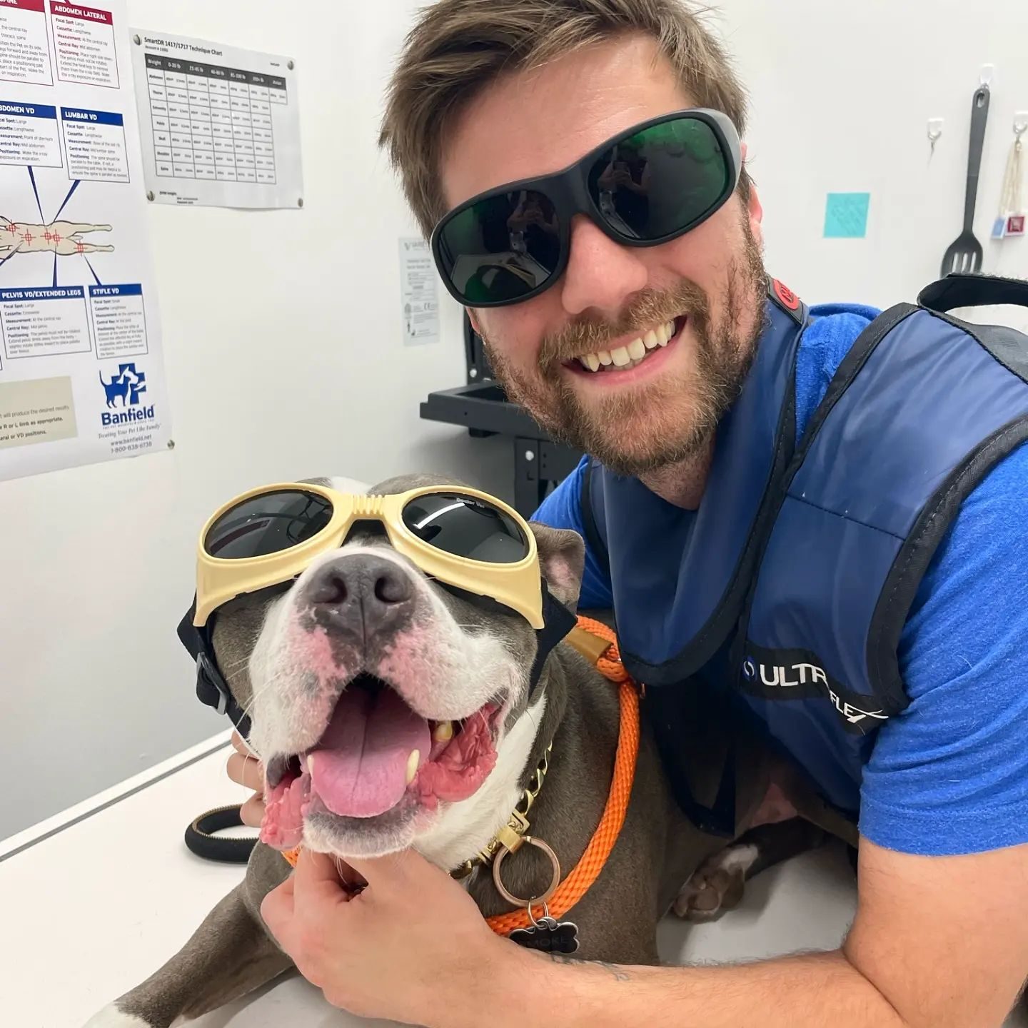 Paz-West-bulldog-rads-circle-dbc455d6a26aa742cb55ca029526e953-rfv0u6zqn57h